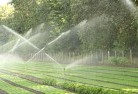 Edromlandscaping-water-management-and-drainage-17.jpg; ?>